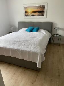 a bedroom with a bed with two blue pillows at Ferienwohnung Süd - West Harz mit Sauna E-Bikes vorhanden! in Hörden