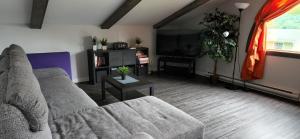 a living room with a couch and a flat screen tv at Le Nid doré sur le lac (Golden Nest on the lake) in Val des Monts