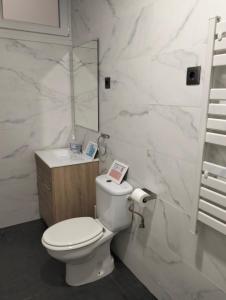 bagno con servizi igienici, lavandino e specchio di Guggenheim Riverview 5 Bedrooms a Bilbao