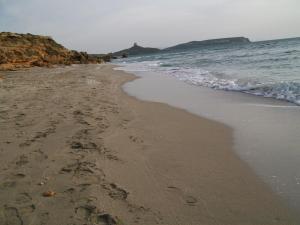 Notte di Luna room & breakfast في أوريستانو: شاطئ به آثار أقدام في الرمال والمحيط