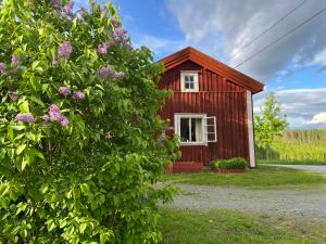 Gallery image of Lilla Backstugan in Nora