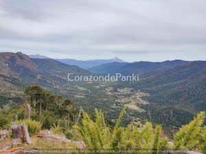 a view of a valley in the mountains at Corazon de Panki in Curarrehue