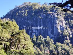 a mountain in the middle of a forest of trees at Corazon de Panki in Curarrehue
