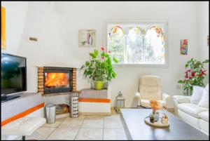 sala de estar con chimenea y TV en Villa Regain Chambres et table d'hôtes, en Gréolières