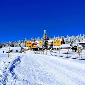 un pueblo cubierto de nieve con casas en el fondo en Horský hotel Kolínská bouda, en Pec pod Sněžkou