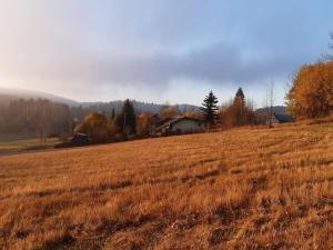 un campo de hierba marrón con una casa en el fondo en Chalupa pod Bukovou horou, Jizerské hory en Smržovka