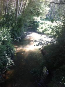 a stream in the middle of a forest with trees at Casa Rural Hospital de las Palabras in Torrellas
