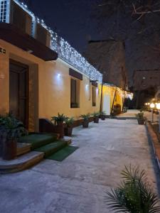 a courtyard of a building with potted plants and lights at Ambiennt in Bucharest