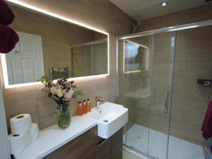 y baño con lavabo y ducha acristalada. en Inverardran House Bed and Breakfast en Crianlarich