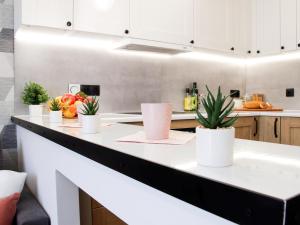 a kitchen with white cabinets and plants on a counter at Apartament Comfy in Nowy Sącz