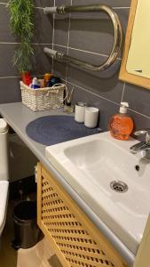 eine Badezimmertheke mit einem Waschbecken und einem Handtuchhalter in der Unterkunft Mājīgs studio apartaments jūras pilsētā in Ventspils