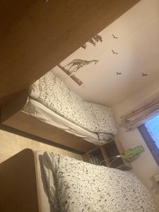 two bunk beds in a room with birds on the ceiling at Chalet du Lièvre in Hannappes