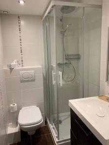 y baño con ducha, aseo y lavamanos. en Duplex 3 chambres Vue Mont-Blanc, en Domancy