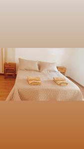 ein Schlafzimmer mit einem Bett, auf dem zwei Handtücher liegen in der Unterkunft SAN MARINO in Villa María