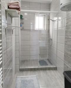 y baño con ducha y puerta de cristal. en Apartment Mademoiselle, en Višegrad