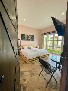1 dormitorio con cama, escritorio y mesa en Airb nb private rooms close to the airport Juan Santa María en Alajuela