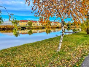 a tree in the grass next to a body of water at Gyirmót Sport & Wellness Hotel in Győr