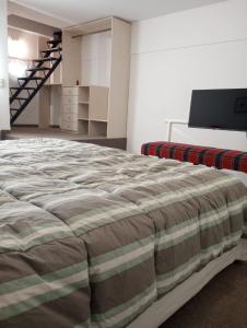 a bedroom with a large bed and a tv at Premium Loft of the Fountain Small Plaza w/Netflix in Buenos Aires