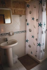 La salle de bains est pourvue d'un lavabo et d'un rideau de douche avec des amidons. dans l'établissement Encanto Vegetarian Bed & Breakfast, à Ix-Xagħra
