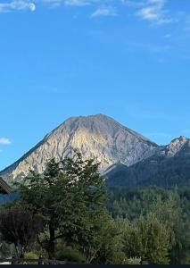 una montagna in lontananza con alberi in primo piano di Ferienhaus Karlchen a Oberaichwald