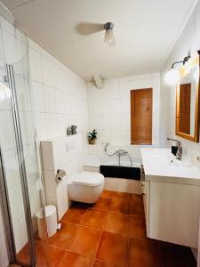 een badkamer met een toilet, een wastafel en een douche bij IJsselgoud in Zwolle
