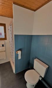 een badkamer met een wit toilet en een blauwe muur bij Appartement EDELWEISS in Châtel