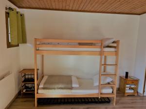 een kamer met 2 stapelbedden bij Appartement EDELWEISS in Châtel