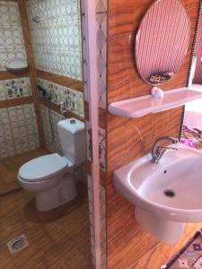 a bathroom with a toilet and a sink at Flower Life Camp in Wadi Rum