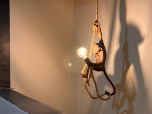 坎昆的住宿－Xaman - Boutique Studios，一只猴子挂在绳子上,有灯