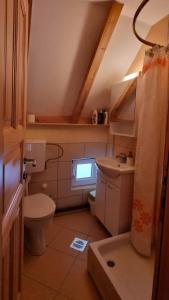 La petite salle de bains est pourvue de toilettes et d'un lavabo. dans l'établissement Jankovic Chalet, à Kolašin