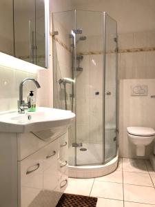 uma casa de banho com um chuveiro, um lavatório e um WC. em Bellevue 16 KaMare - direkte Strandlage em Scharbeutz