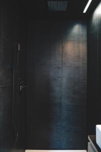 a bathroom with a shower with black walls at Tiny House Au Coeur de la Campagne Wallonne in Chaumont-Gistoux