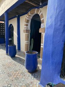 two blue vases with a cactus in them in front of a door at La colina House taghazout in Taghazout