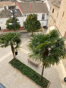 an overhead view of a courtyard with palm trees and benches at Apartamento Venus in Salar