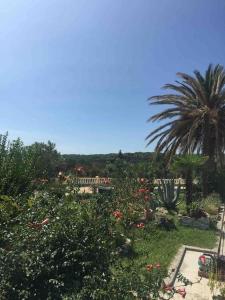 Сад в Casa Fumica Apartment