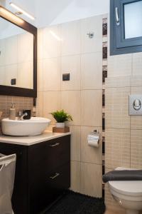 een badkamer met een wastafel, een toilet en een spiegel bij Meteora Skyline by Meteora Residencies in Kalabaka