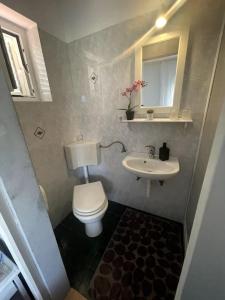 een kleine badkamer met een toilet en een wastafel bij Casa Fumica Studio in Kampor
