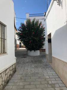 Fotografia z galérie ubytovania Goliva las Rosas v destinácii Barbate