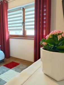 Część wypoczynkowa w obiekcie Dębowy Apartamenty/Pokoje