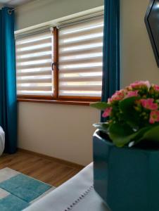 Łóżko lub łóżka w pokoju w obiekcie Dębowy Apartamenty/Pokoje