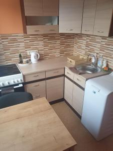 een keuken met een wastafel en een witte koelkast bij Ukstiņa Holiday apartment in Liepāja +5 foto's