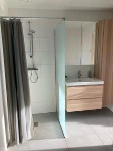 uma casa de banho com um lavatório e um chuveiro com um espelho. em Långasand em Heberg