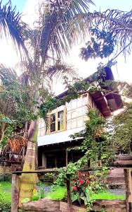 a house with a palm tree in front of it at Hostal Estrella de Agua in Salento