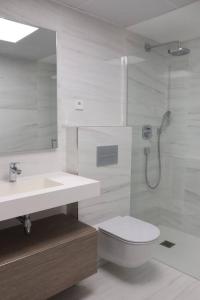 un bagno con wc, lavandino e doccia di Apartamento Allonbay & SPA, Playa de El Torres a Villajoyosa