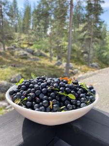 Fotografie z fotogalerie ubytování Stuga i Vemdalen v destinaci Vemdalen