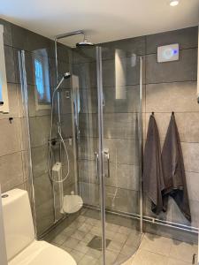 a bathroom with a glass shower with a toilet at Stuga i Vemdalen in Vemdalen
