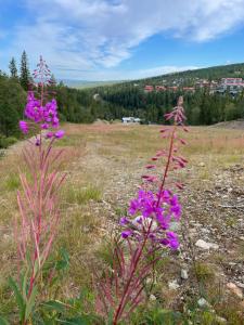 Fotografie z fotogalerie ubytování Stuga i Vemdalen v destinaci Vemdalen