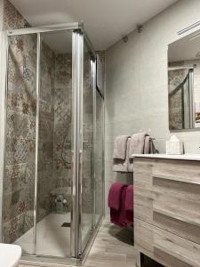 een badkamer met een douche en een wastafel bij Apartamento Palacio de Las Sevillanas in Haro