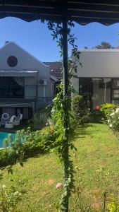 une plante poussant sur un poteau dans une cour dans l'établissement Muco Guest House, à Johannesbourg