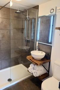 a bathroom with a shower and a sink and a toilet at Irfon Cottage in Builth Wells